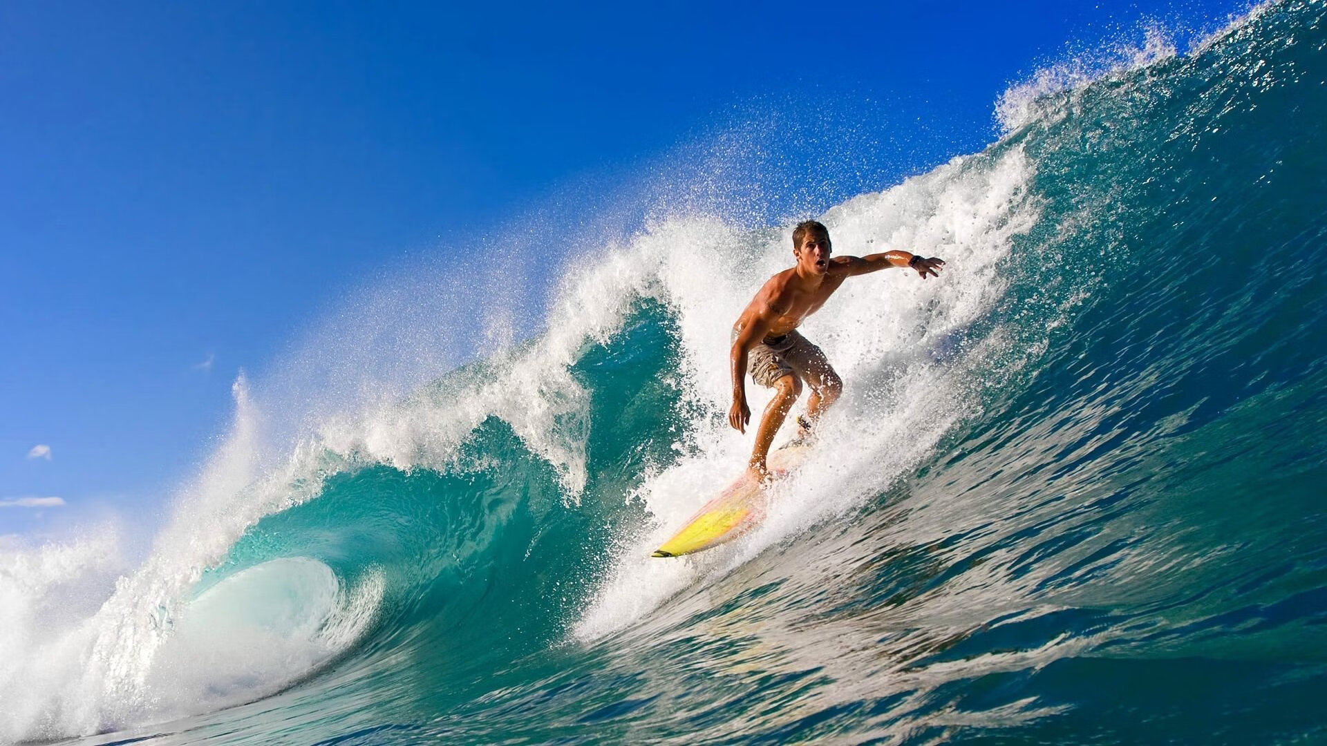 篮球明星商业价值分析